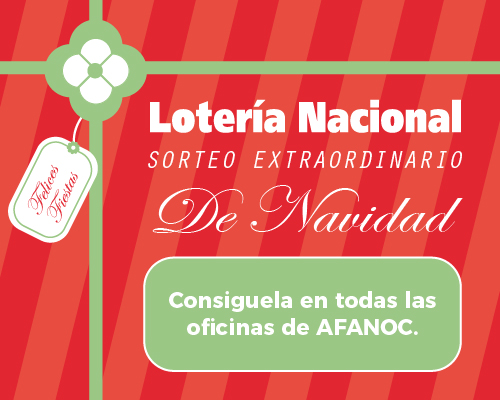 Lotería solidaria de Afanoc