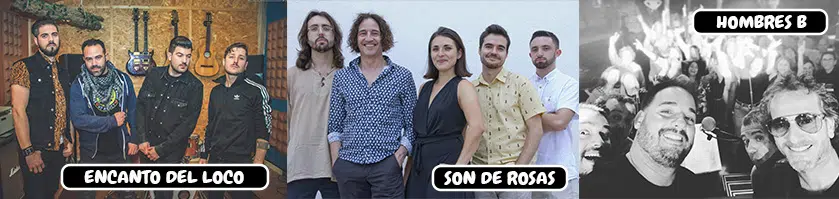 Grups tributs sala salamandra