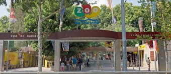 Vuelve "Posa't la Gorra!" al Zoo de Barcelona
